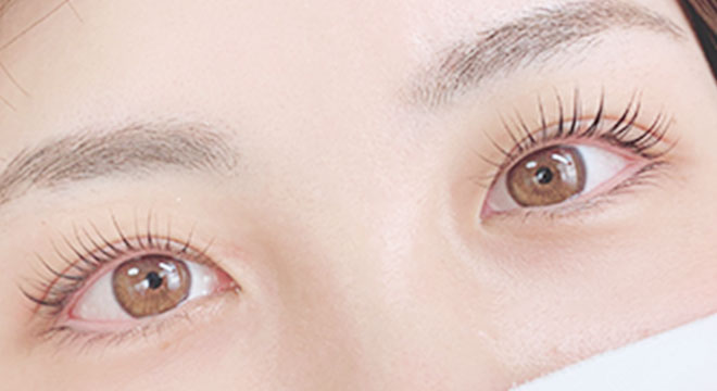 FF Curl Cosmeの特徴